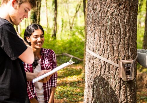 Reading clipboard by tree